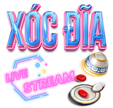 X&oacute;c đĩa mm88
